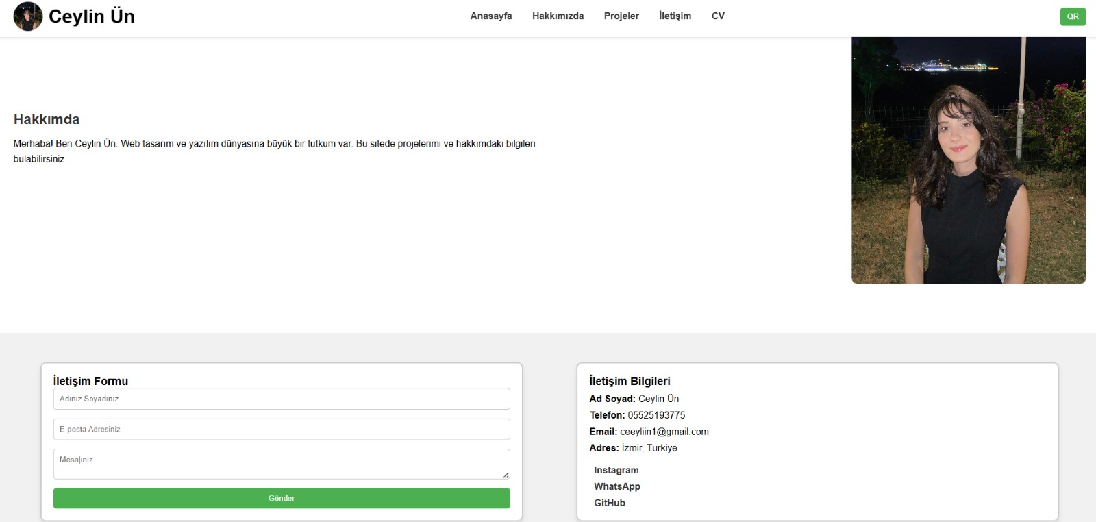 Veri Görselleştirme